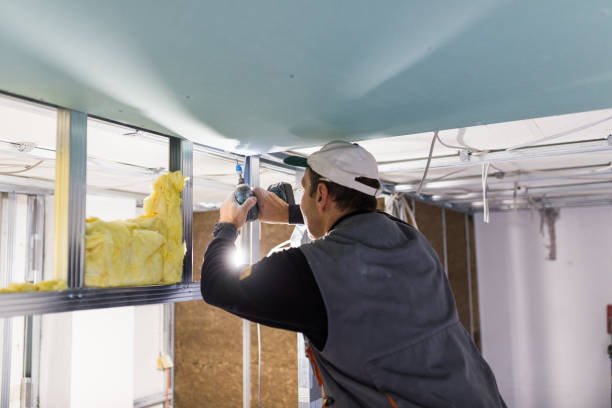 Best Wall Insulation Contractor  in Niceville, FL