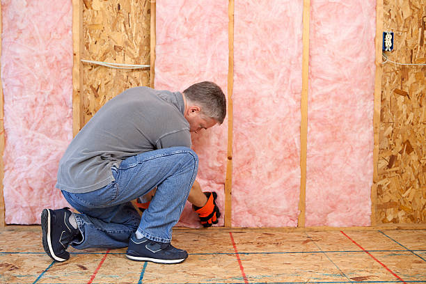Best Insulation Repair Services  in Niceville, FL